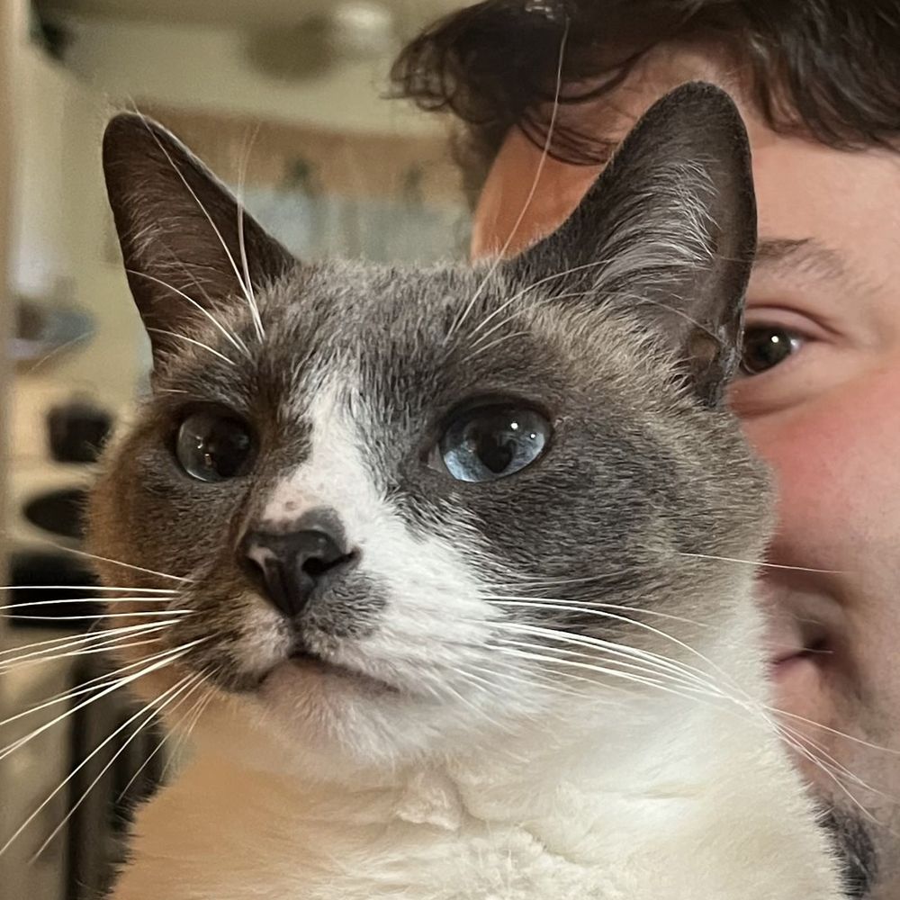 Flynn Catto