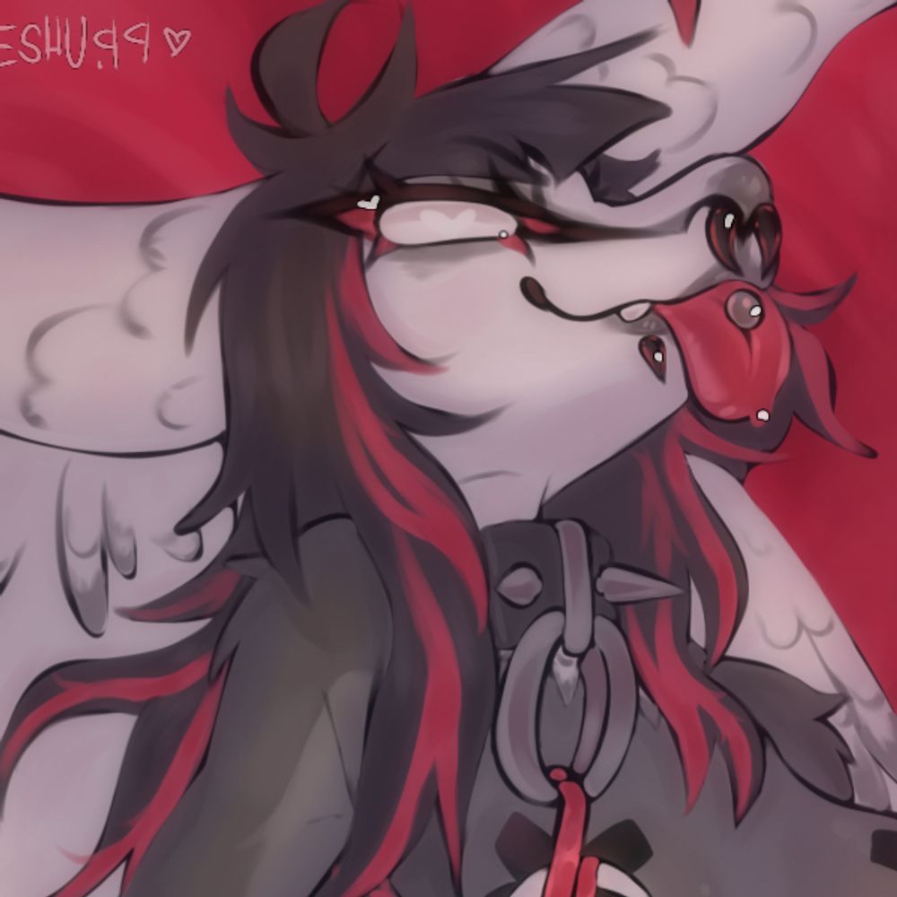 shieshu.qq