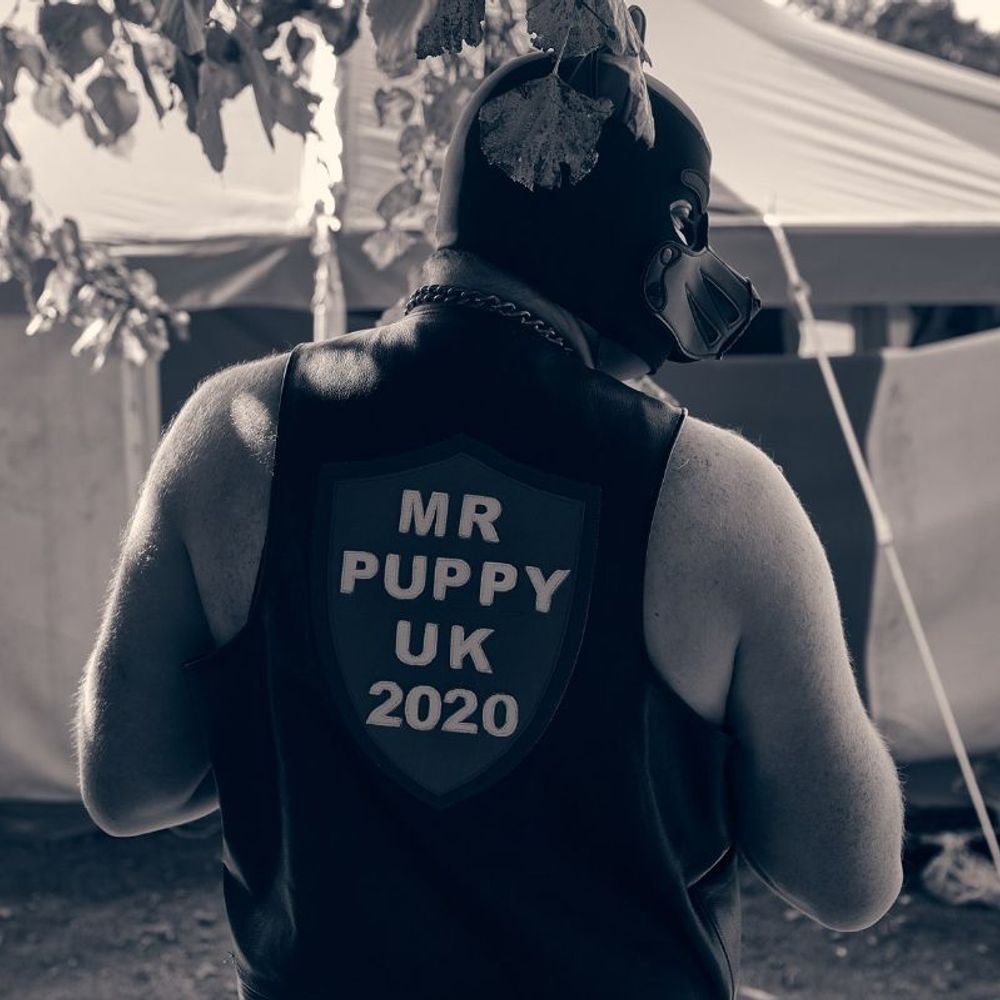 Pup Malphas - Mr Puppy UK 2020