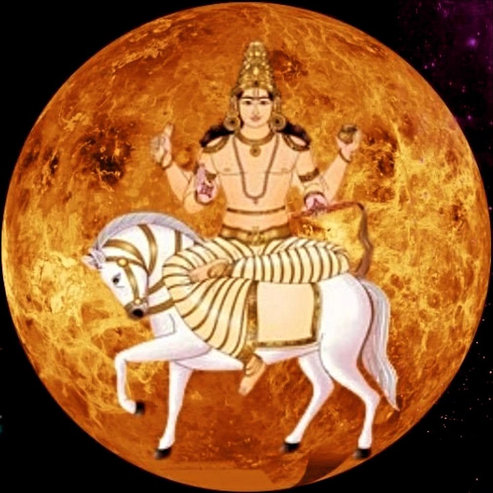 🪷शुक्र🪷