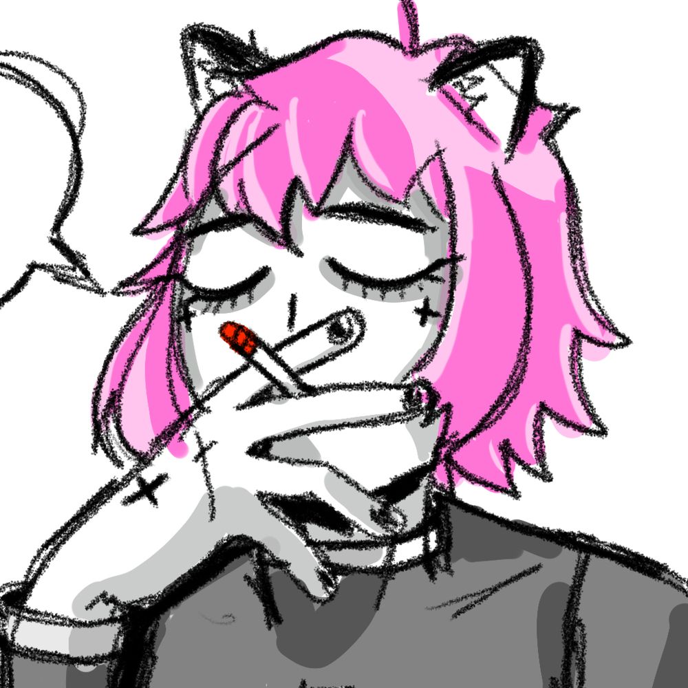 metro-cat.bsky.social profile picture