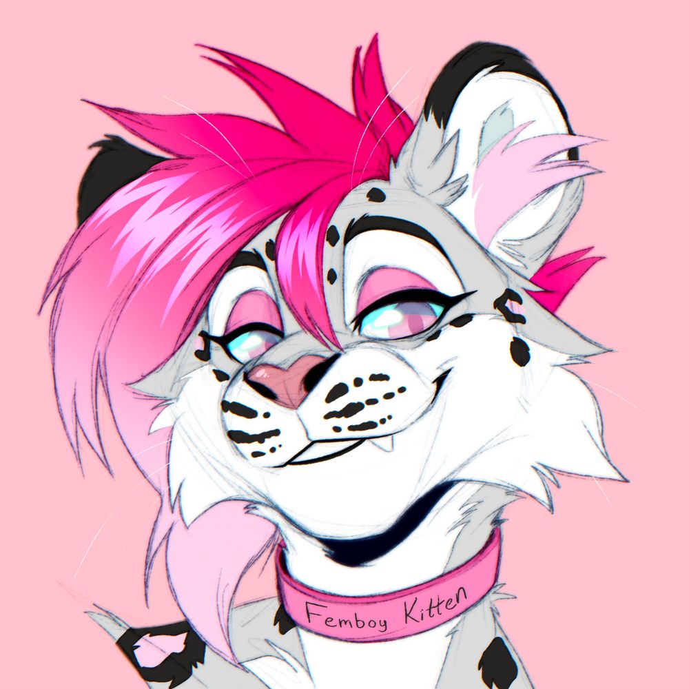 Dawn Snowmeow