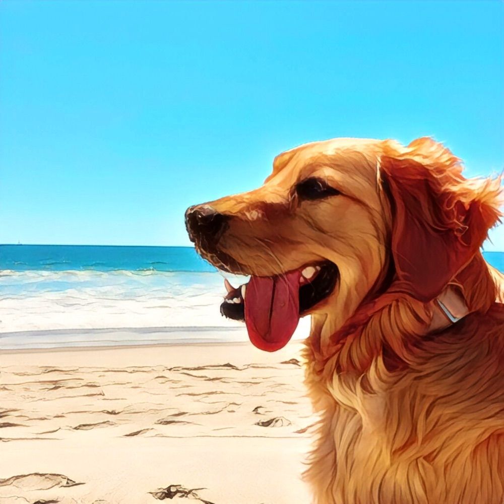Malibu