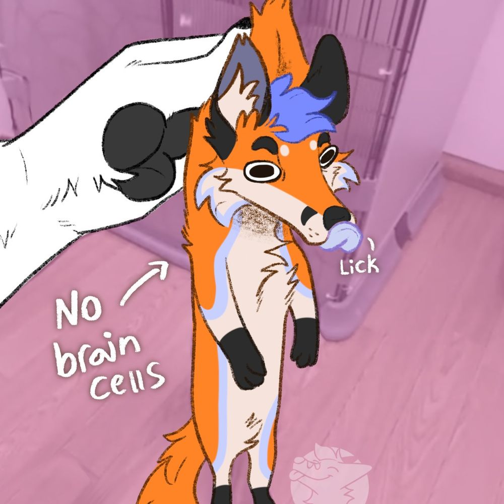 Poofy Fox
