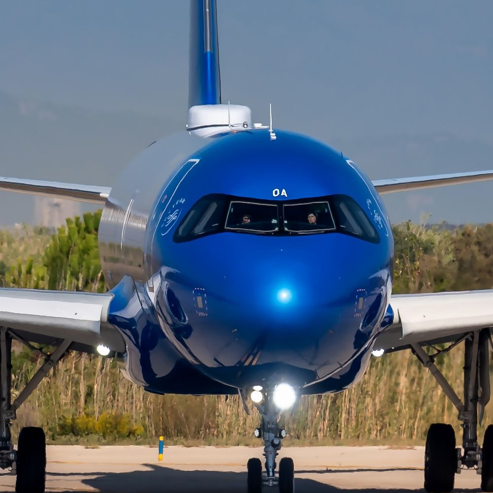Ana Avianka737