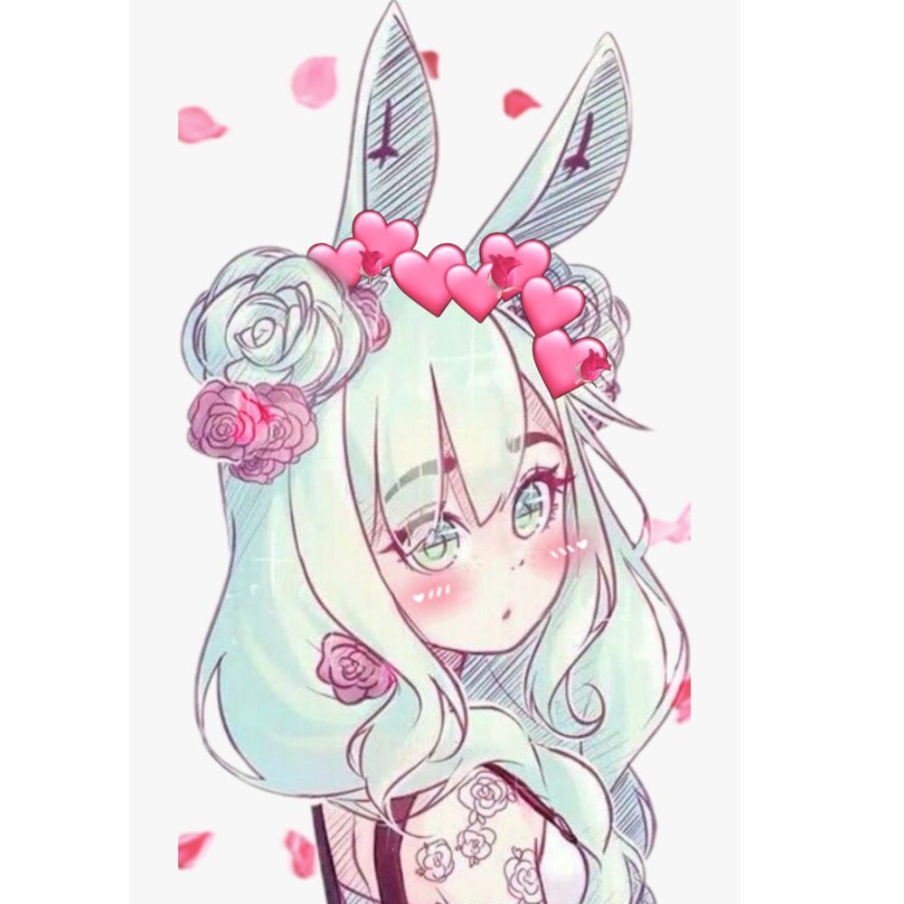 Sugar 🐰