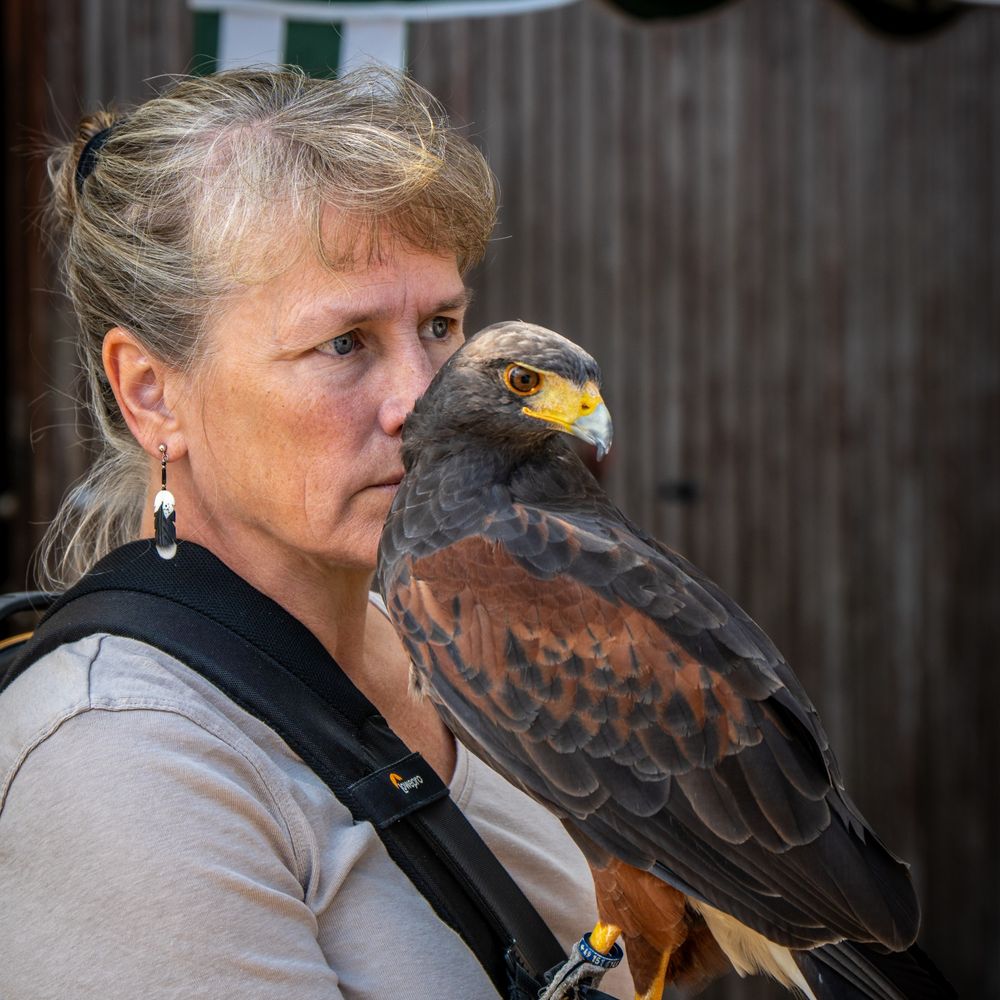 Kaya's falconer