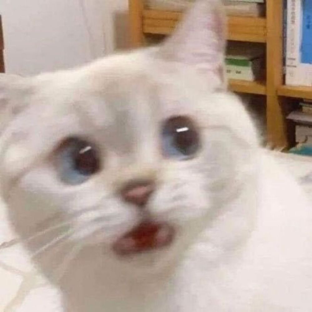 Kiki @ tired girl hours