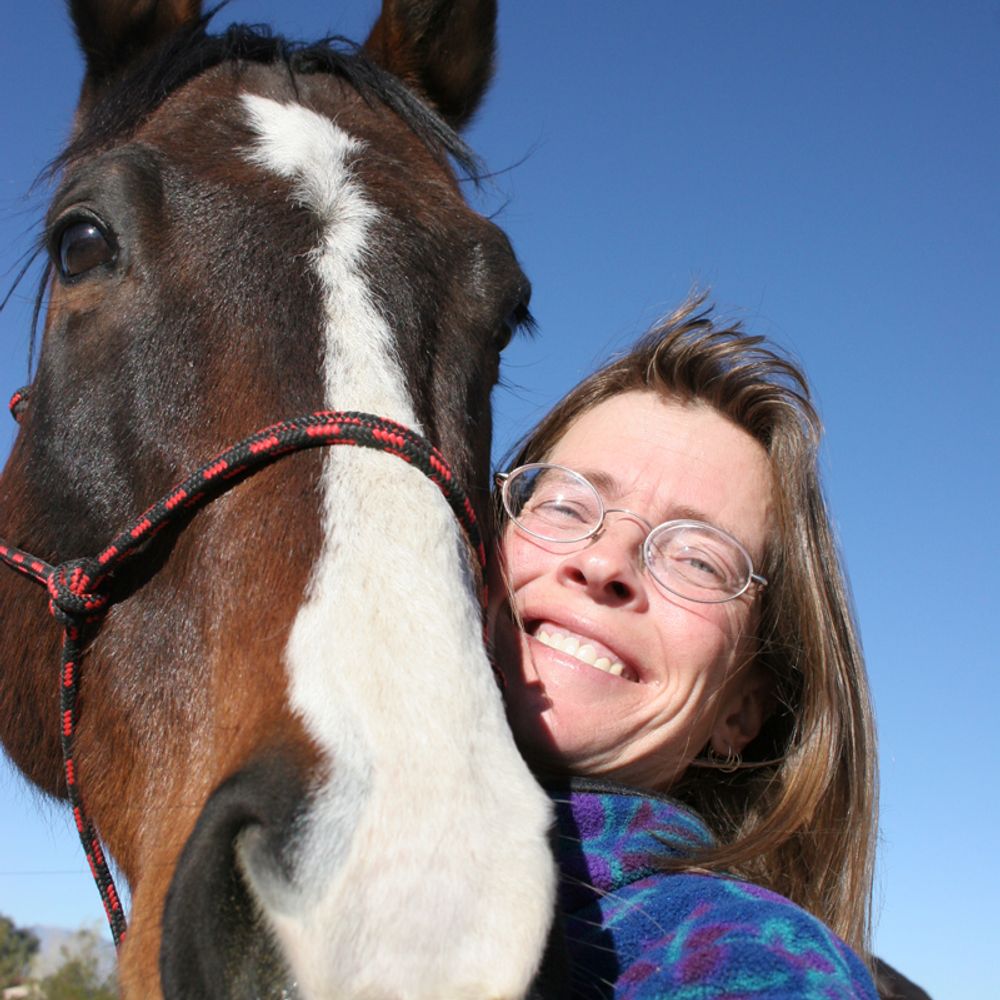 The Equestrian Vagabond