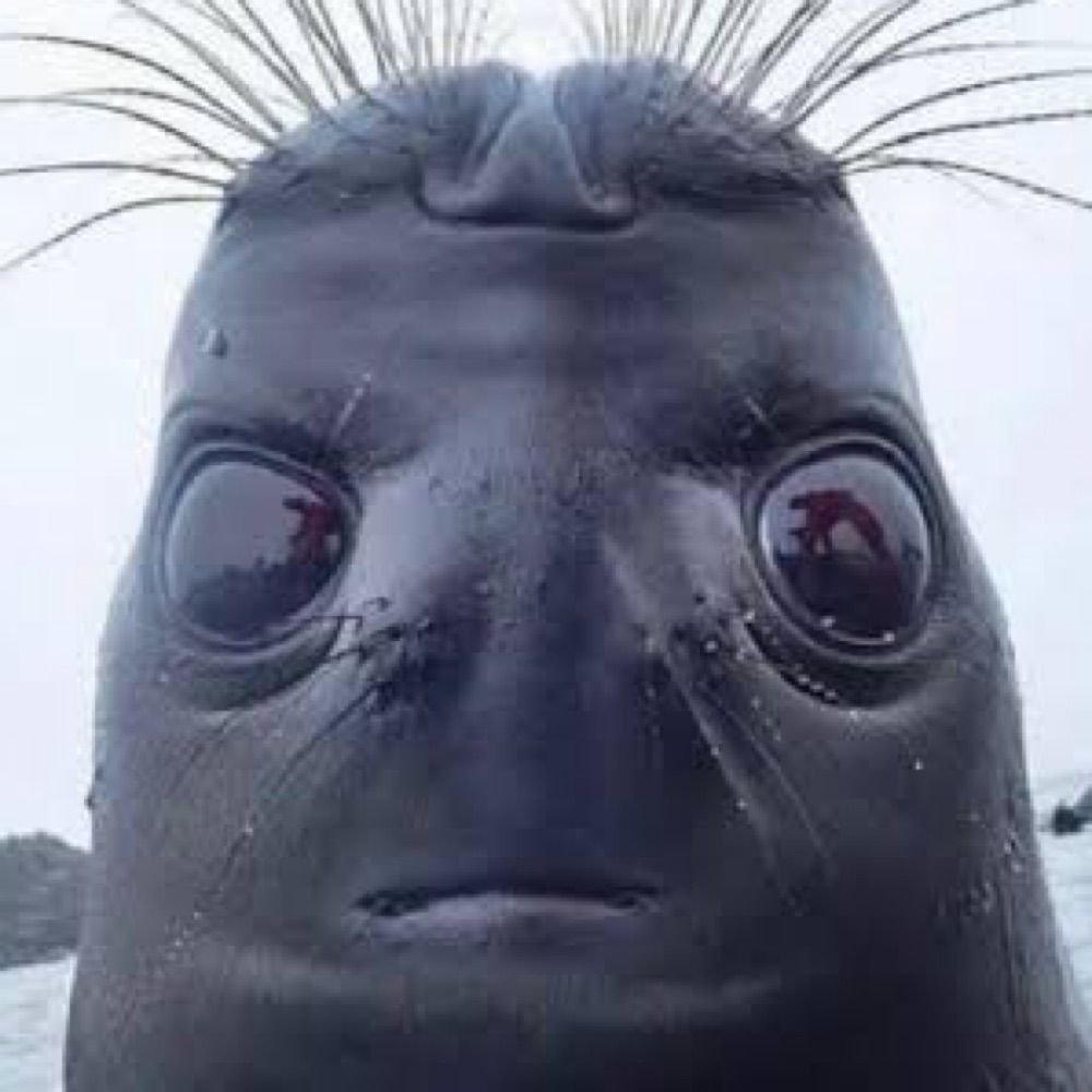 たろおみ