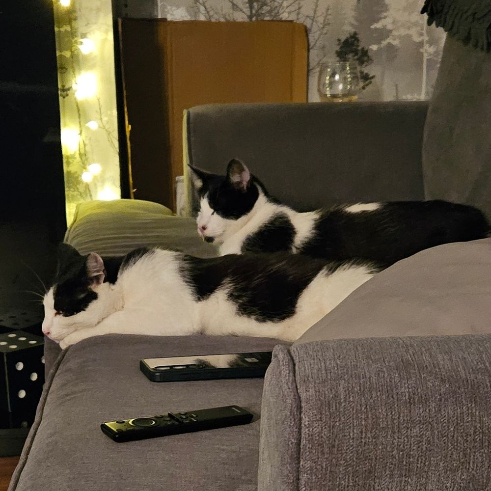 yoga1967.bsky.social