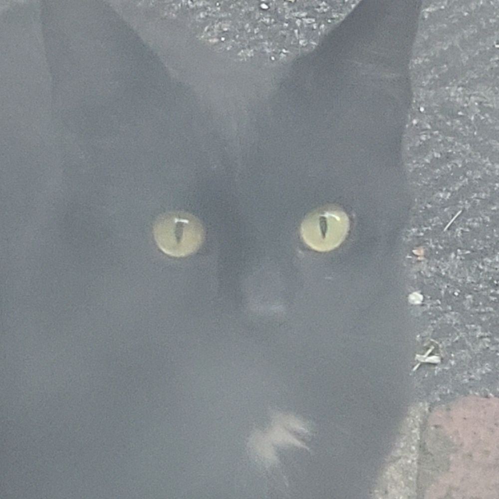 Peet
