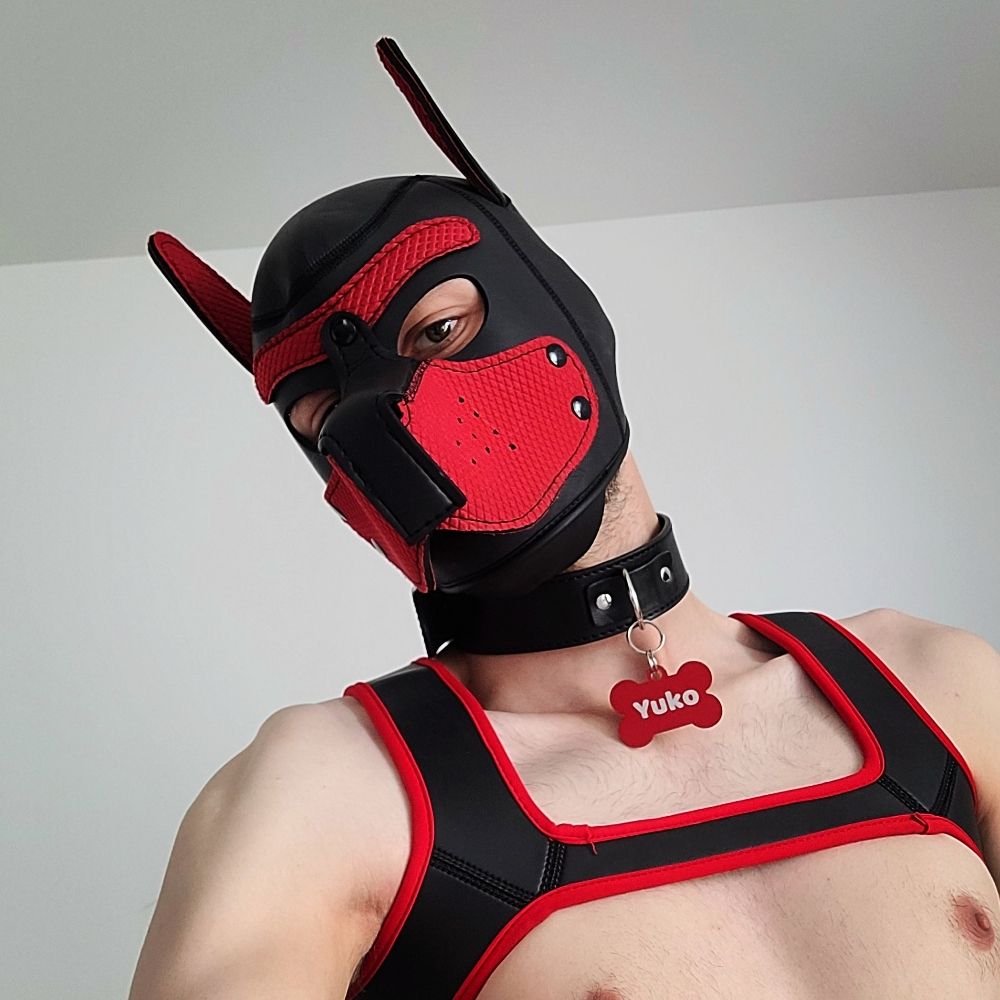 Puppy Yuko