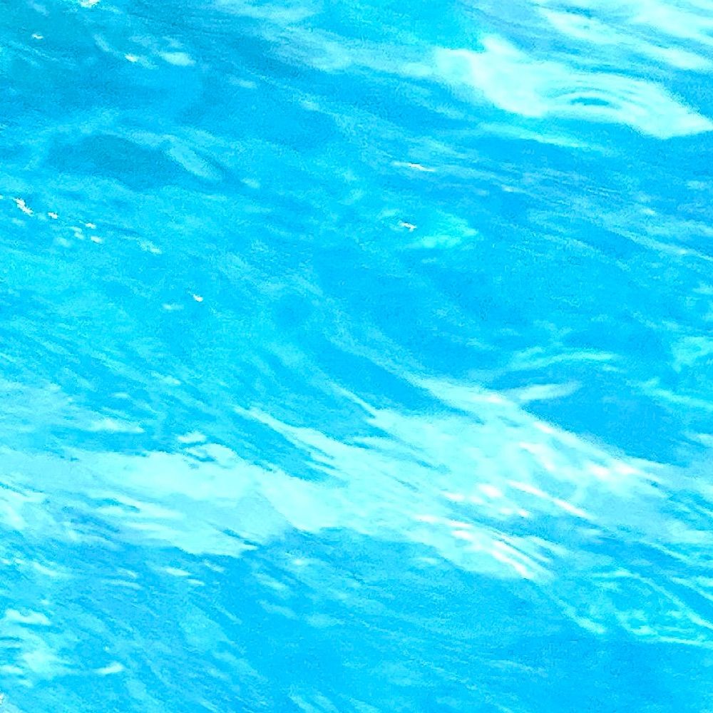 蟻あまる