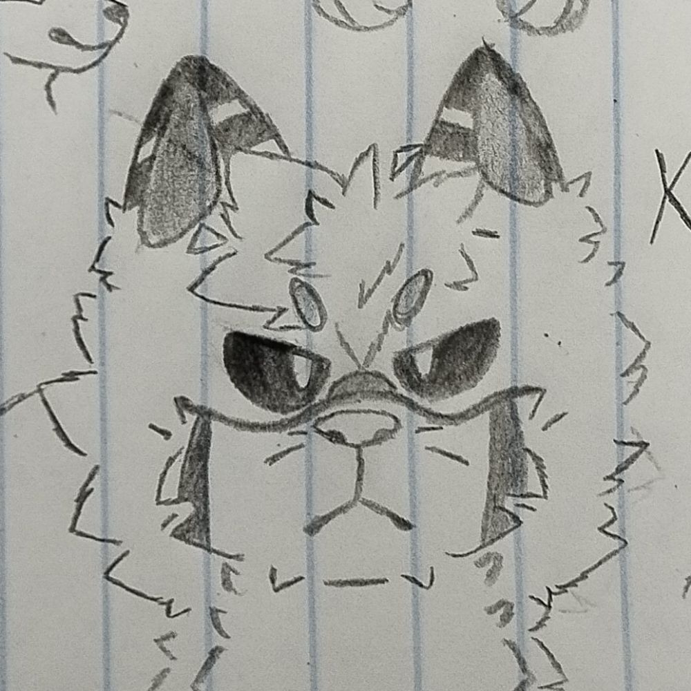 Skeeo 🌟