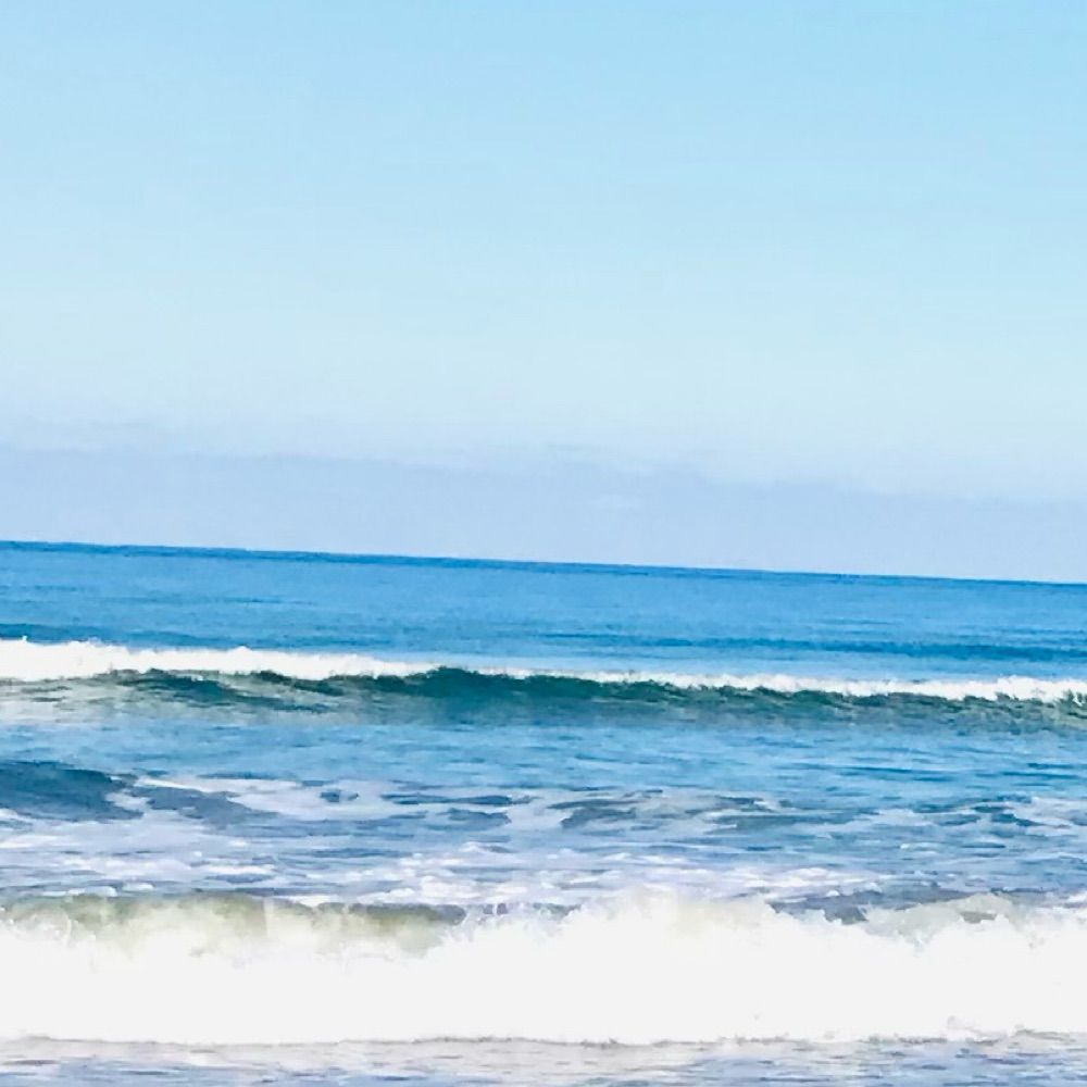 海野