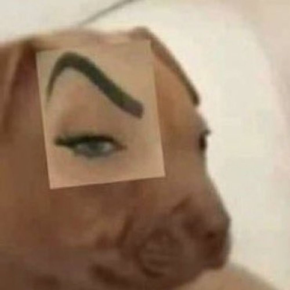 Derk