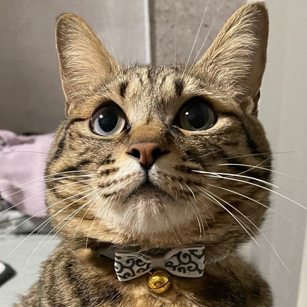 Tina