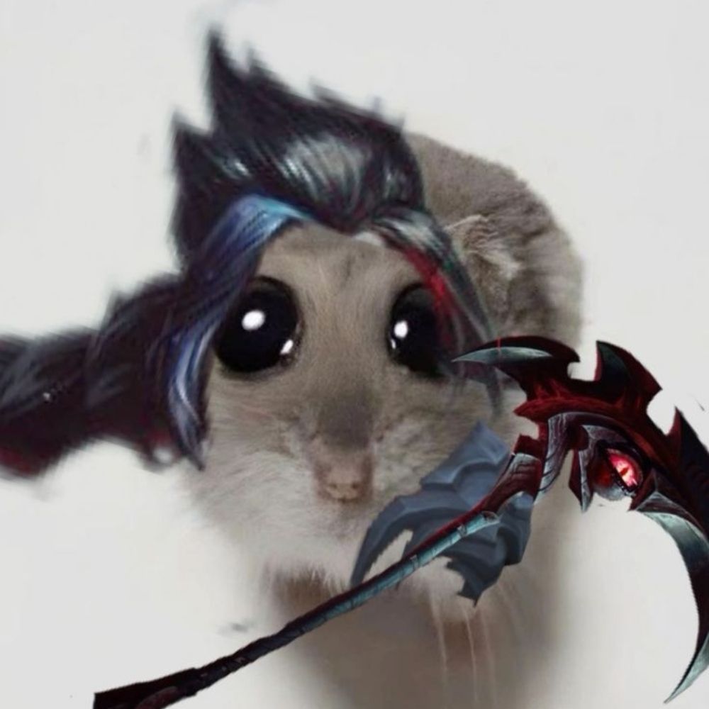 Leomainkayn