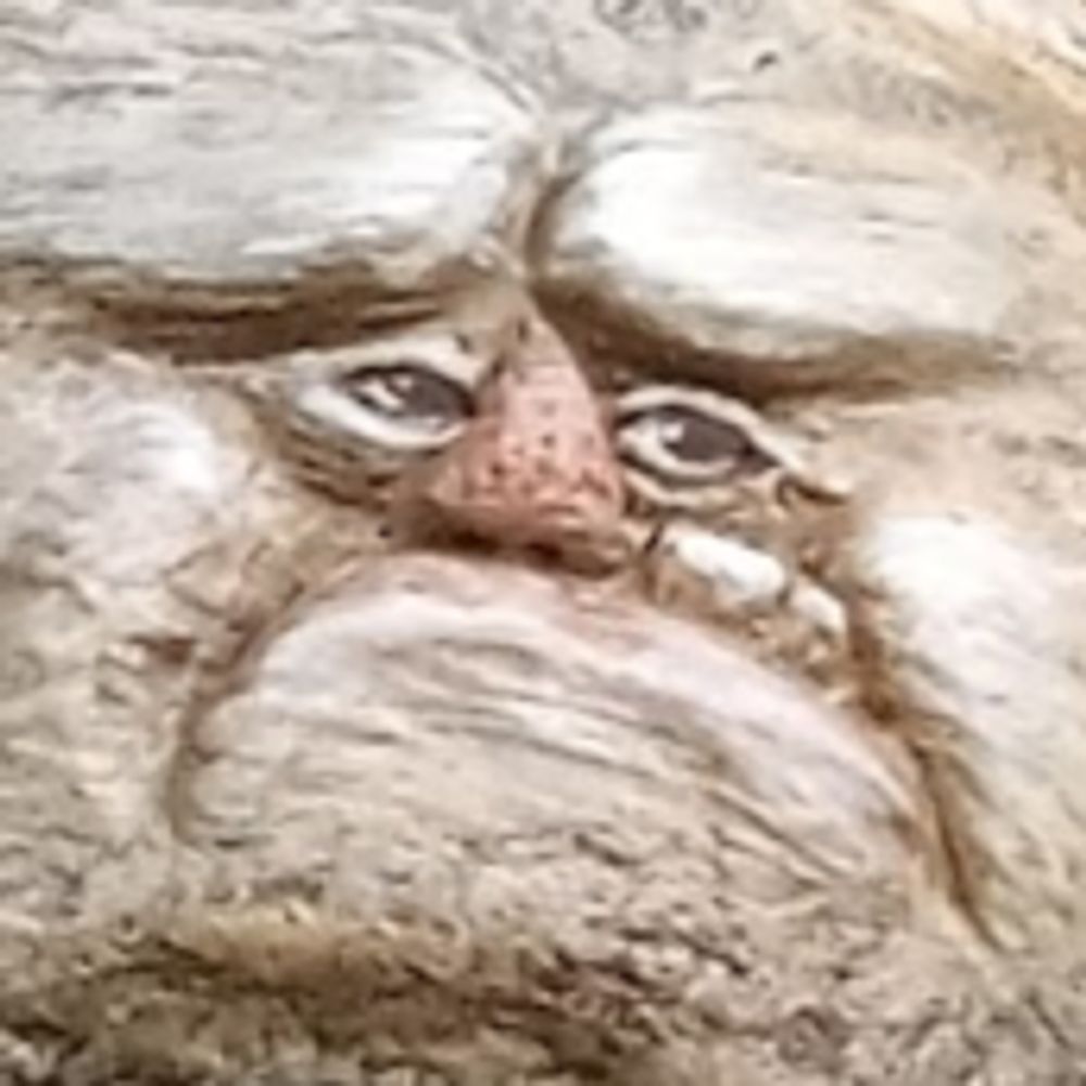NonFerragus
