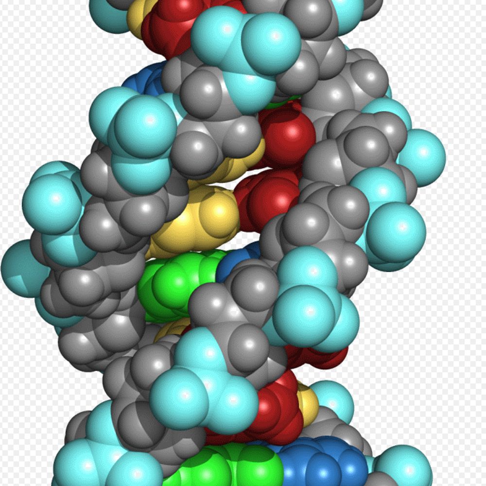 Profile picture plantgenomics.bsky.social