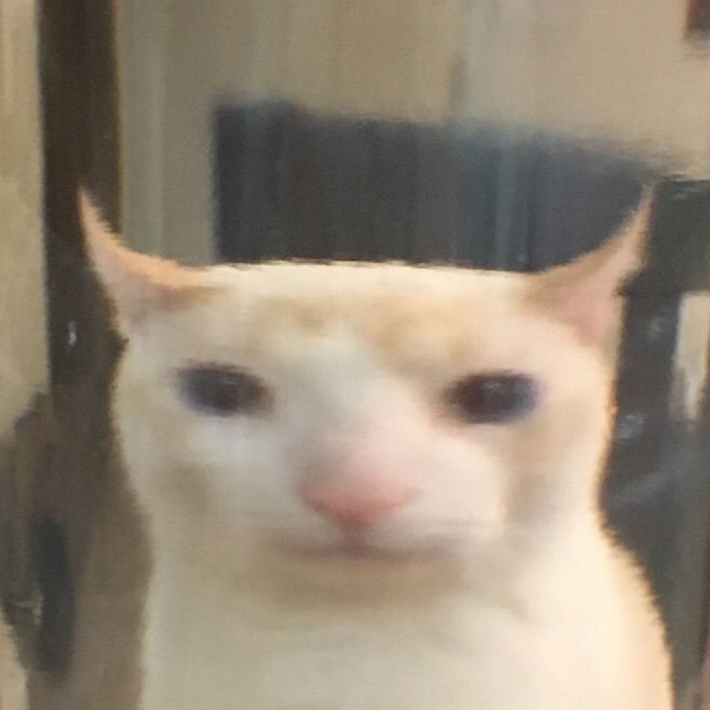 이피이피이피