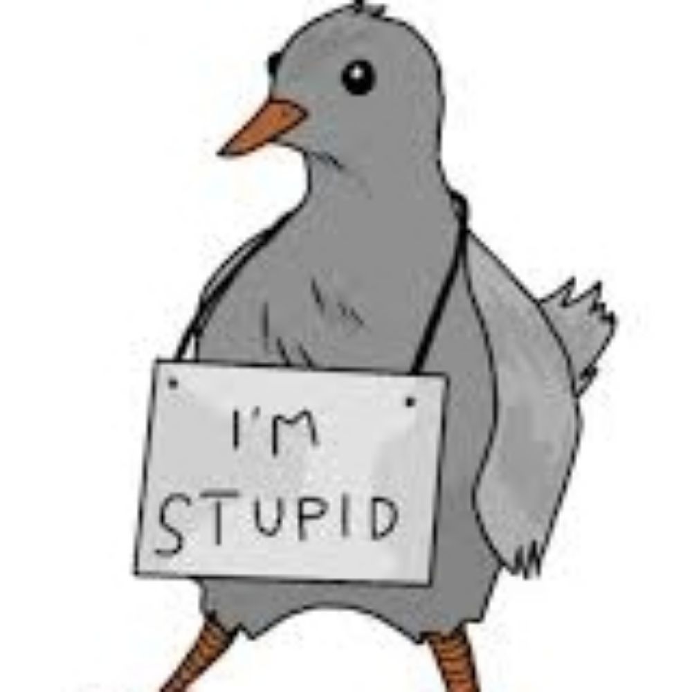 Random Bird