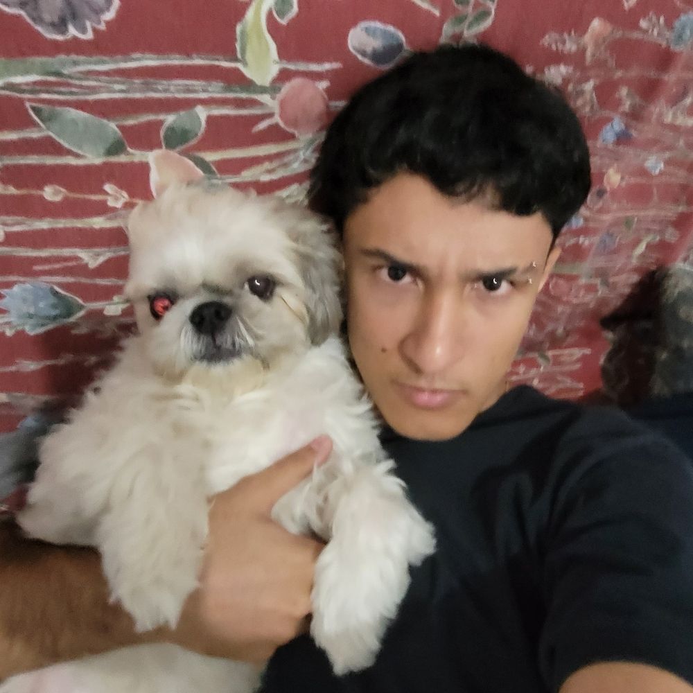 menino apis