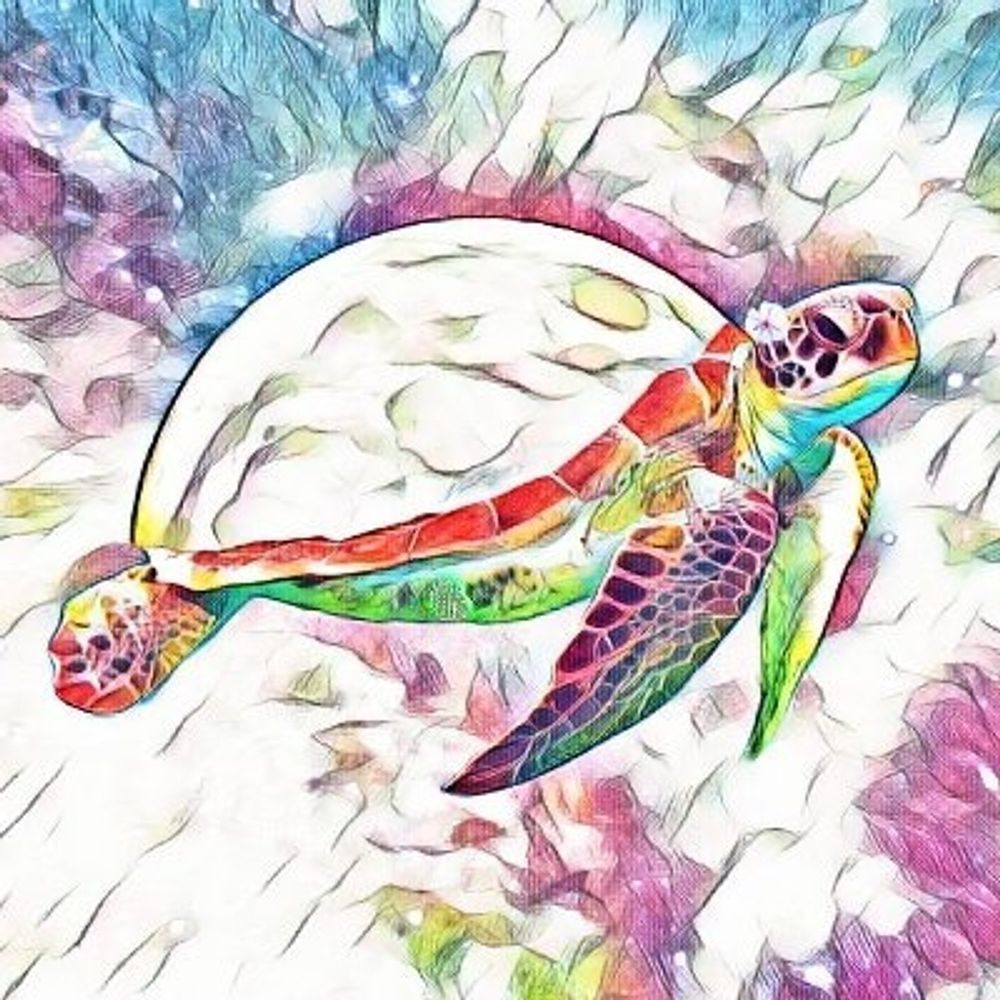 🌺🌔🐢