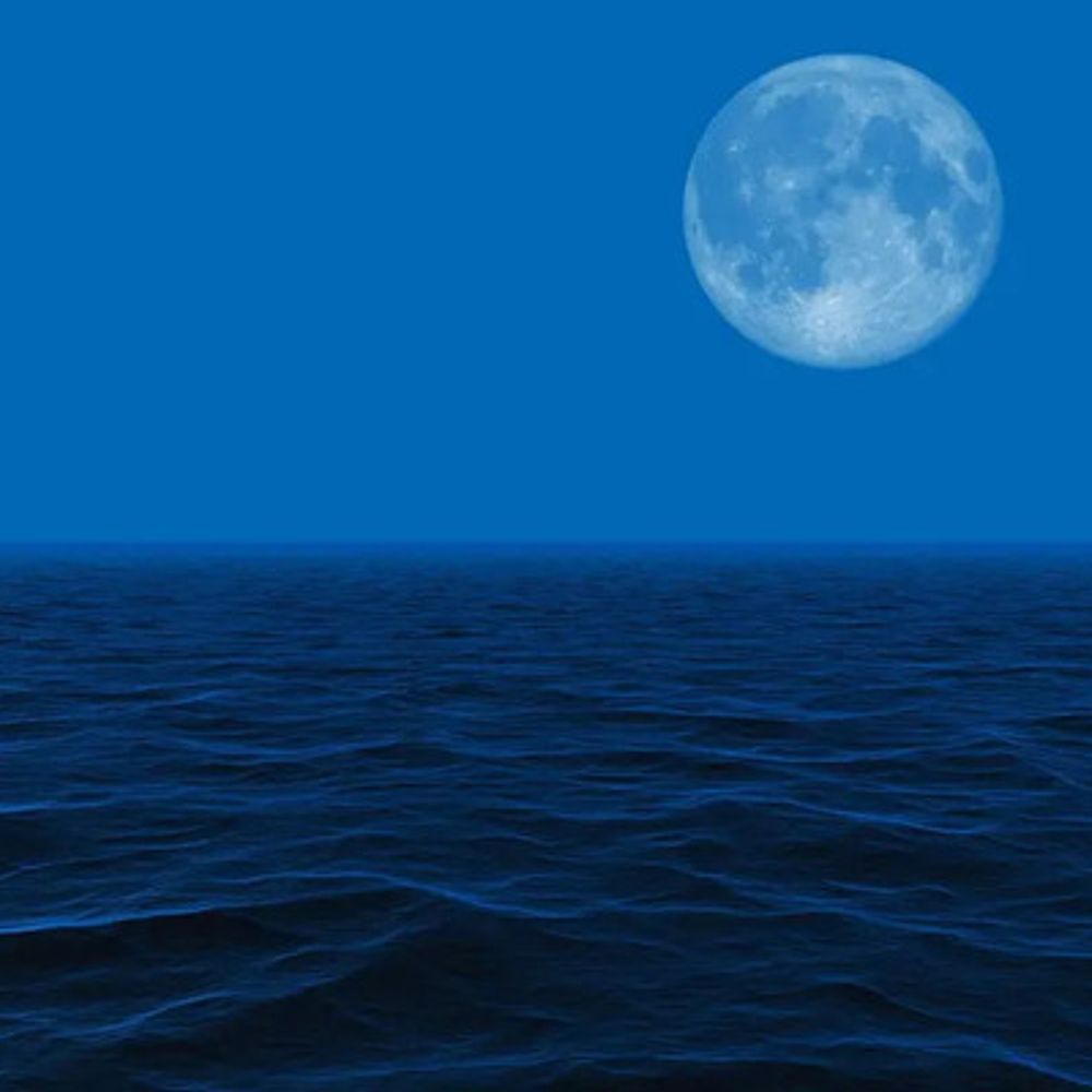 mer salée