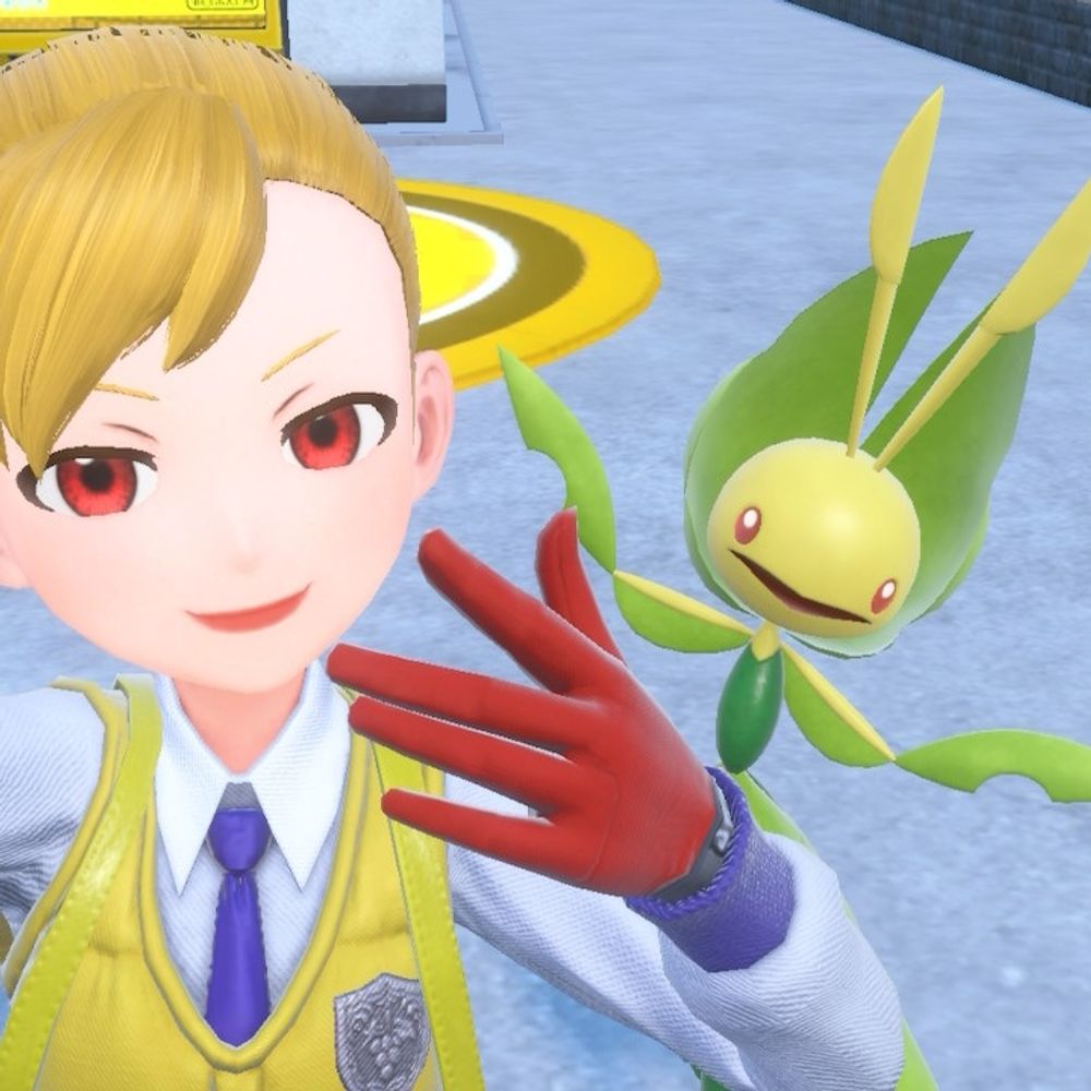 しゃっしー