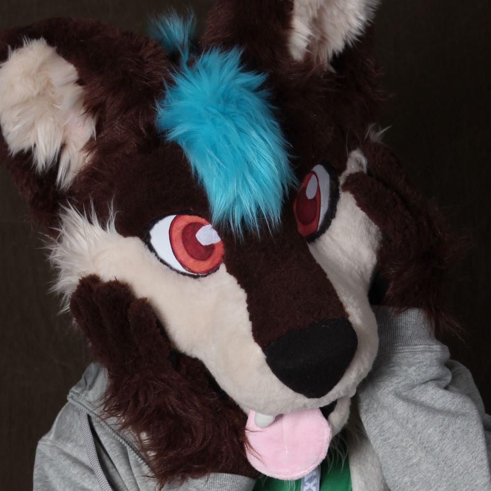 TypicalPanWolf