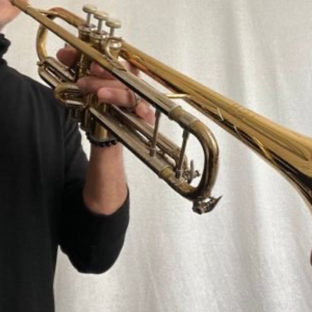 あねやん.tp🎺 aneyan, a trumpeter🇯🇵 
