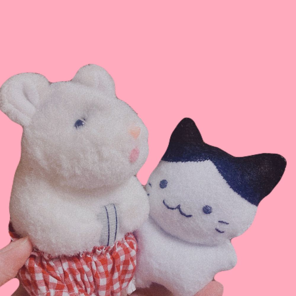 ぎゅうたん
