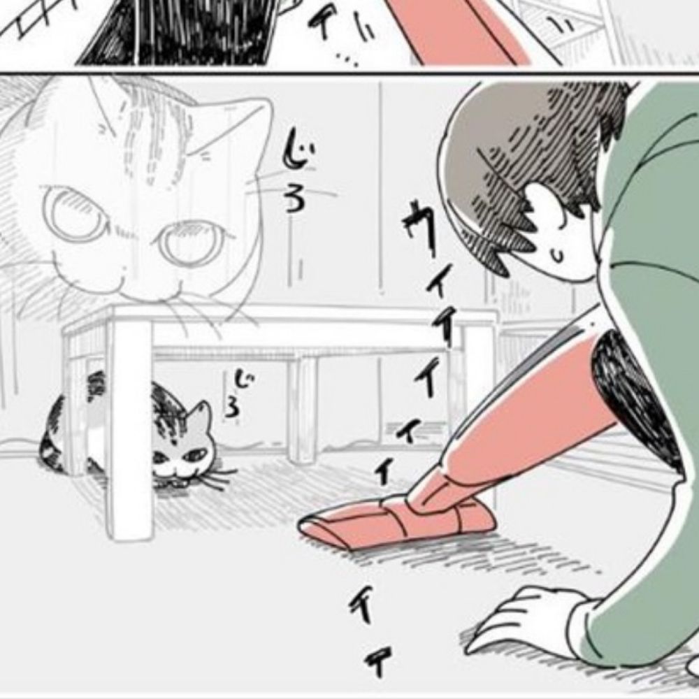 掃除機vs猫