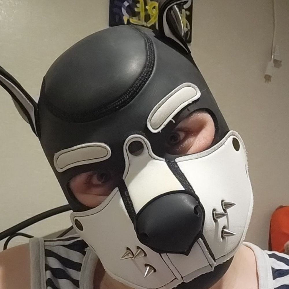 Pup Albin