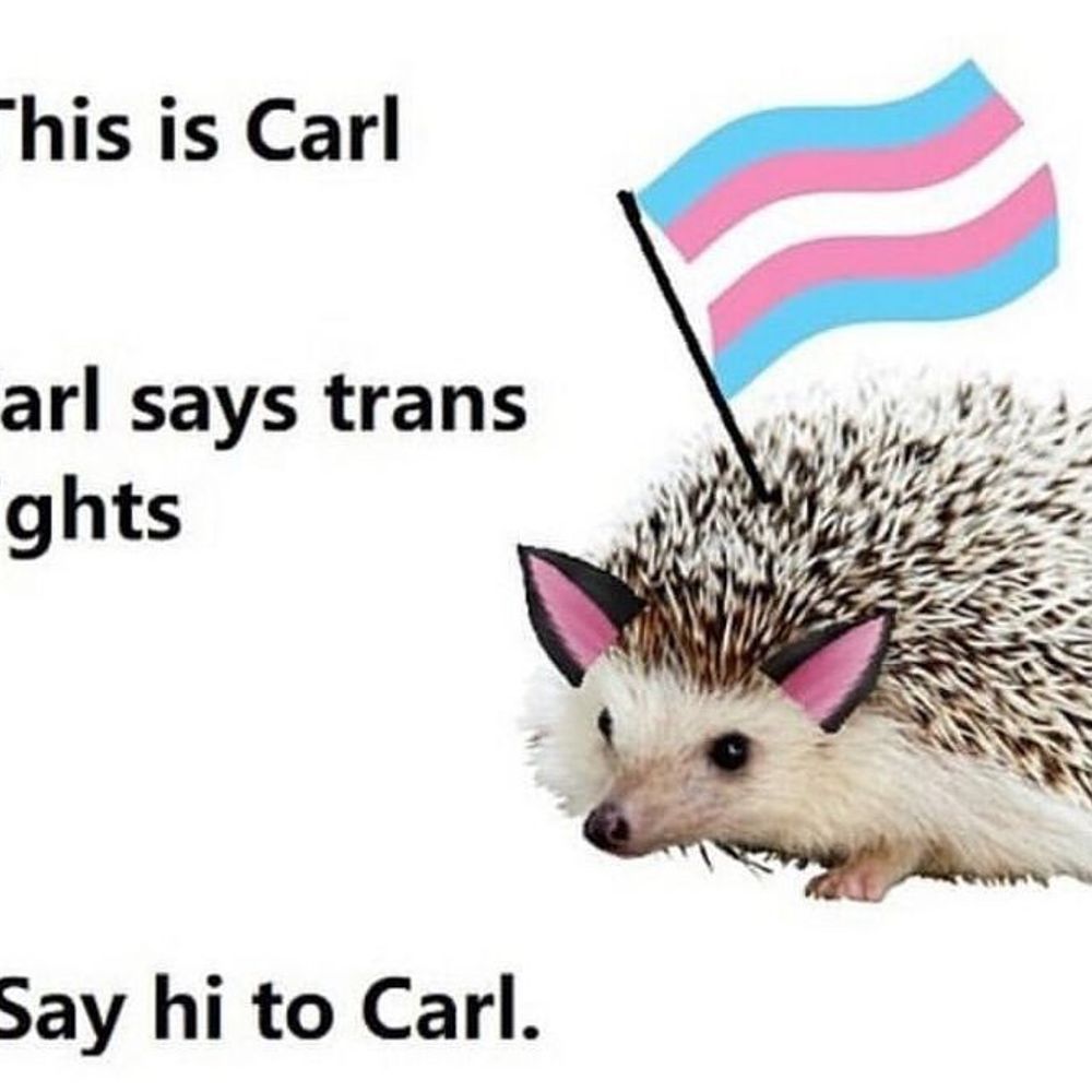 Your Fave Is Trans 🏳️‍⚧️✨💗