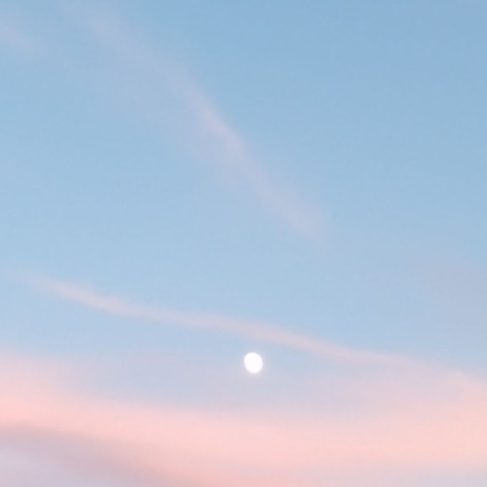 Moon cowboy