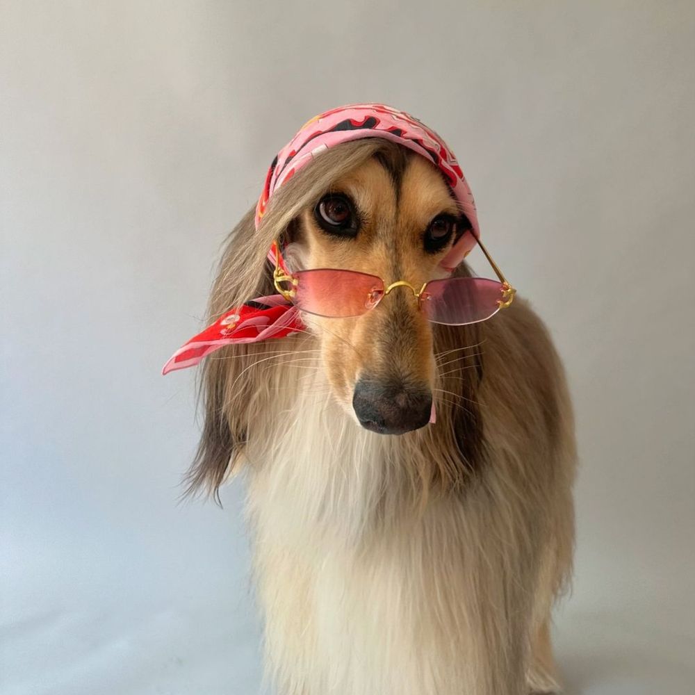 Lorenzo
