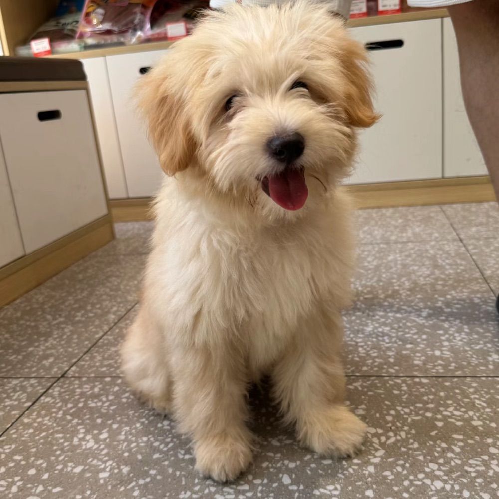 zackdong.bsky.social