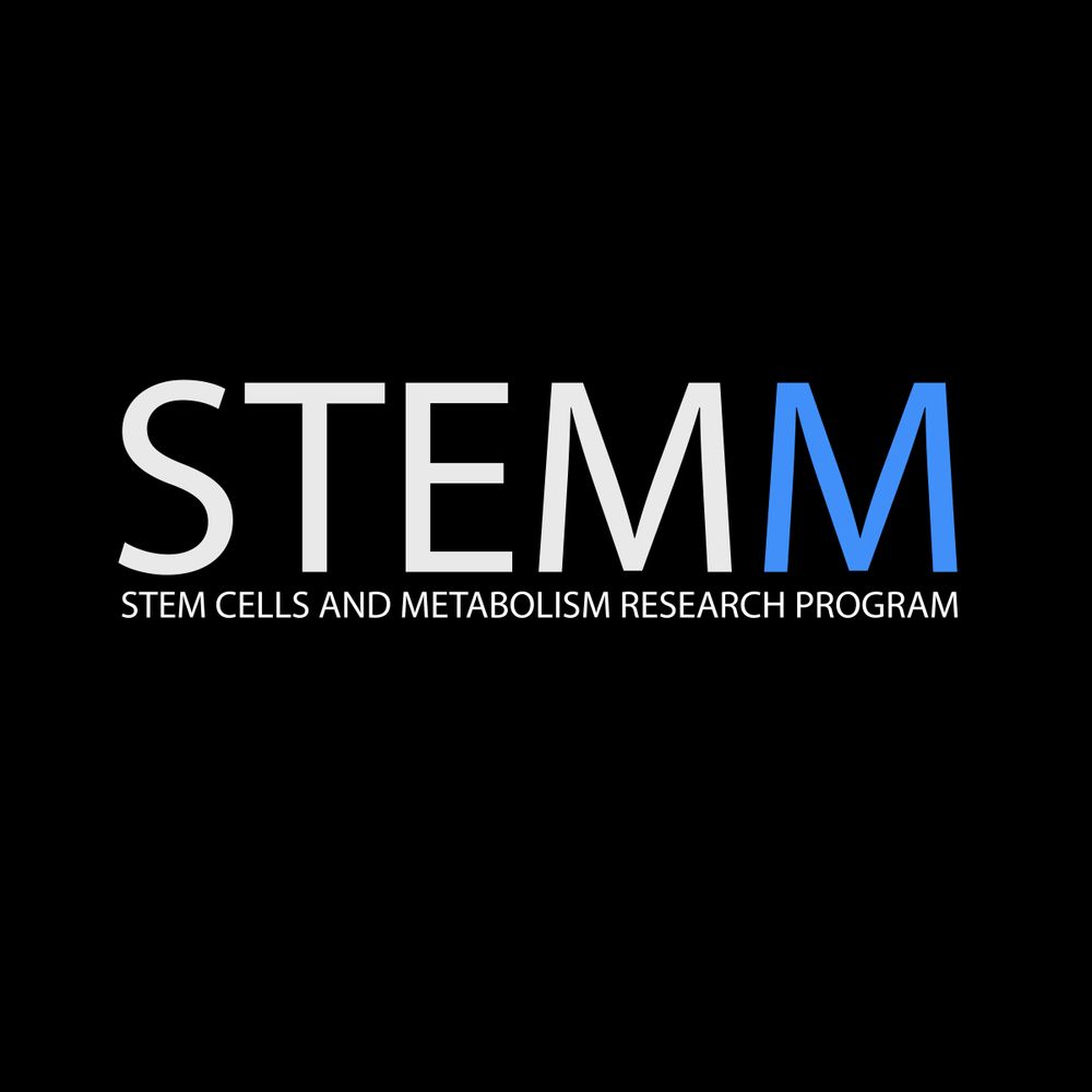 STEMM Research Program