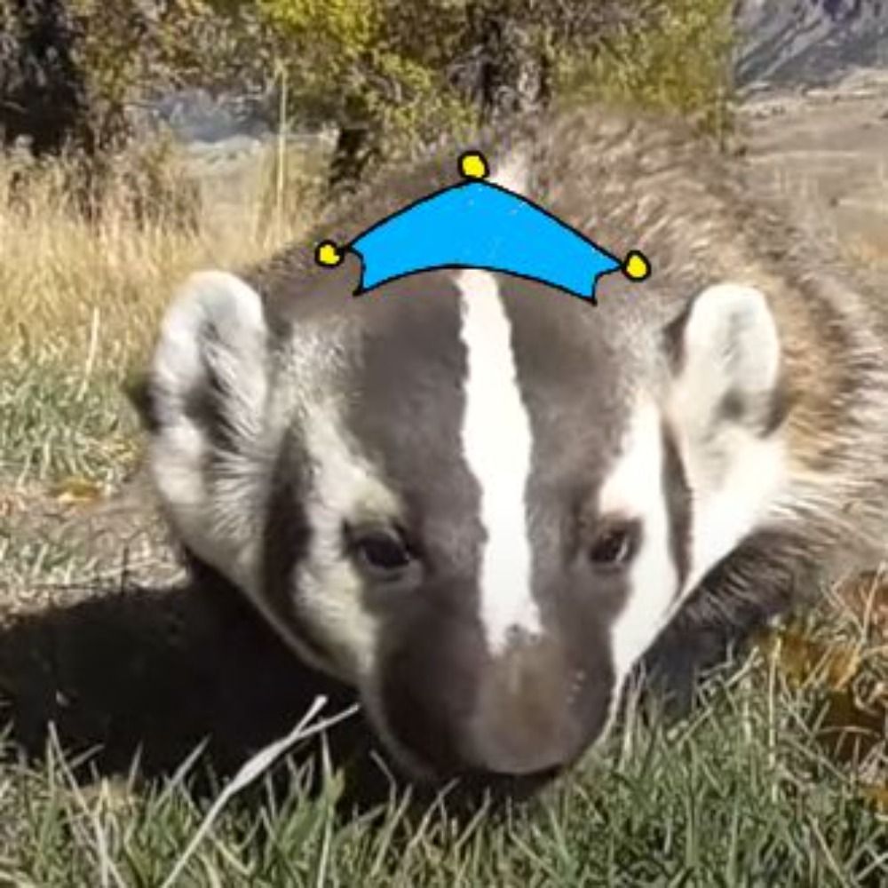 Blue Badger
