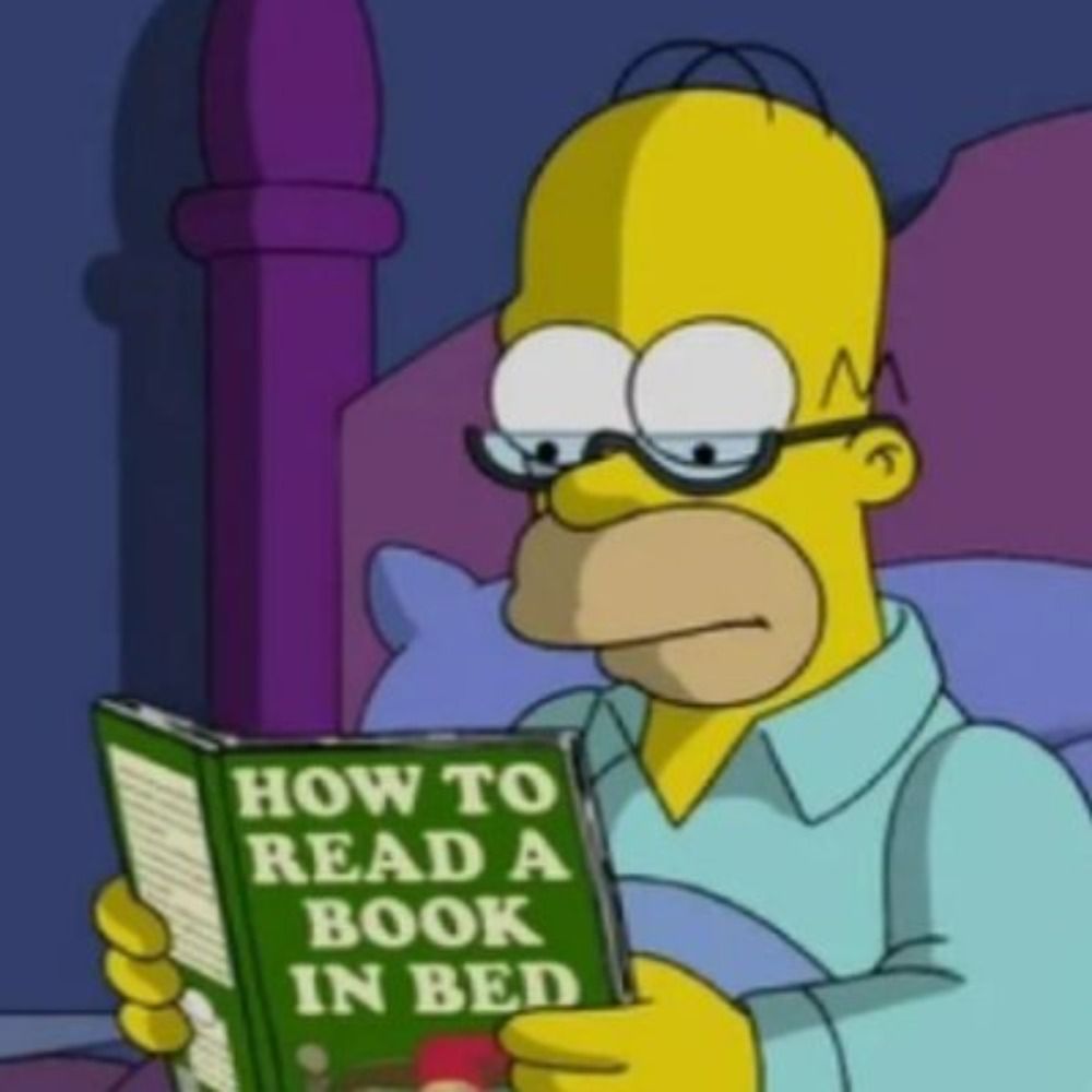 Simpsons Books 