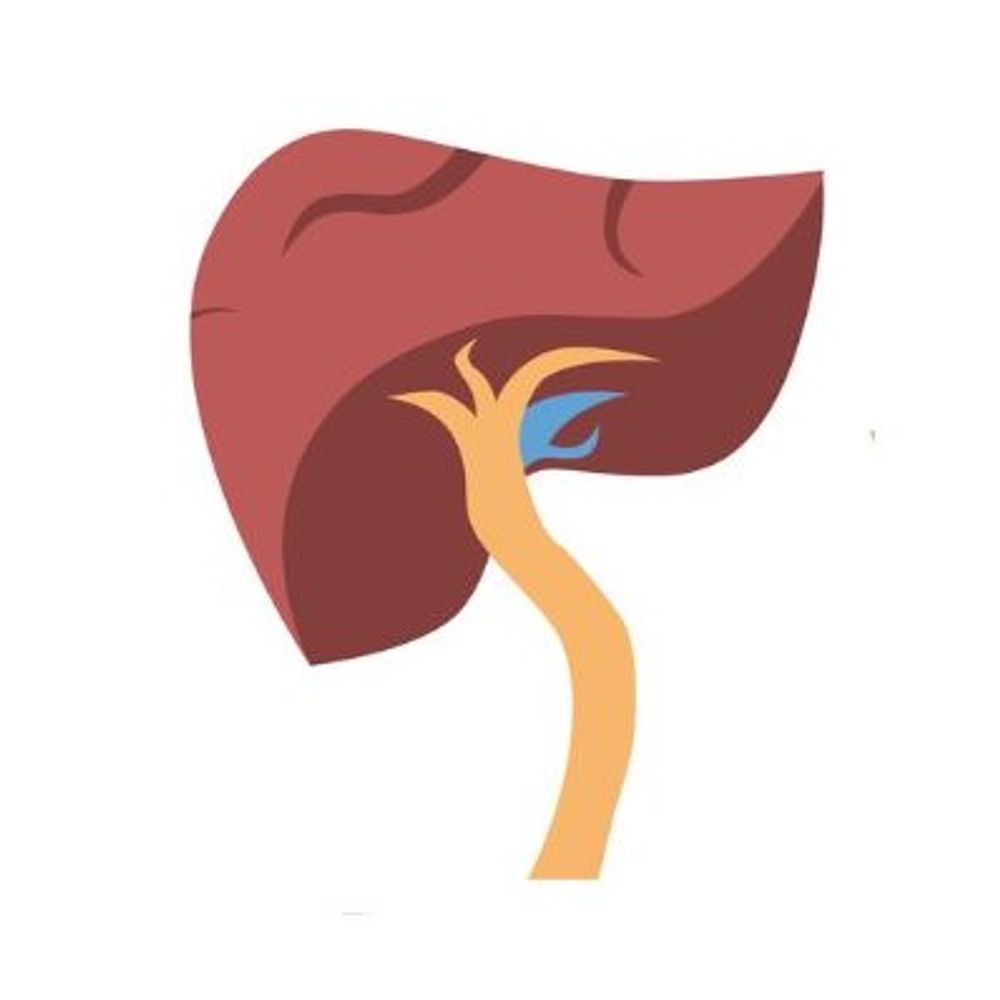 Liver Coalition of San Diego