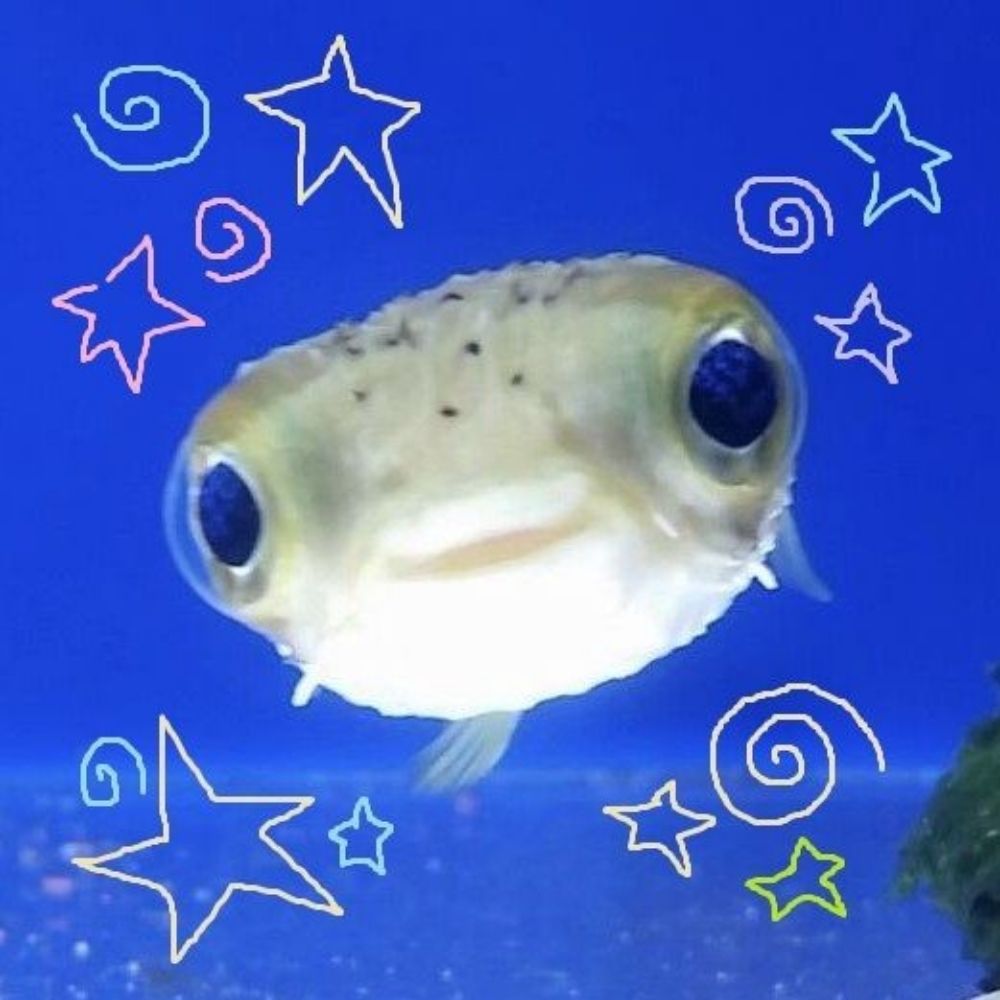 yukaralho
