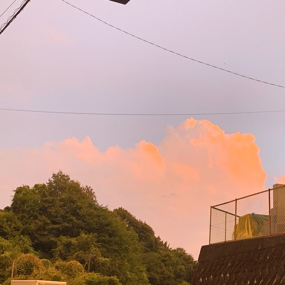 むぎ
