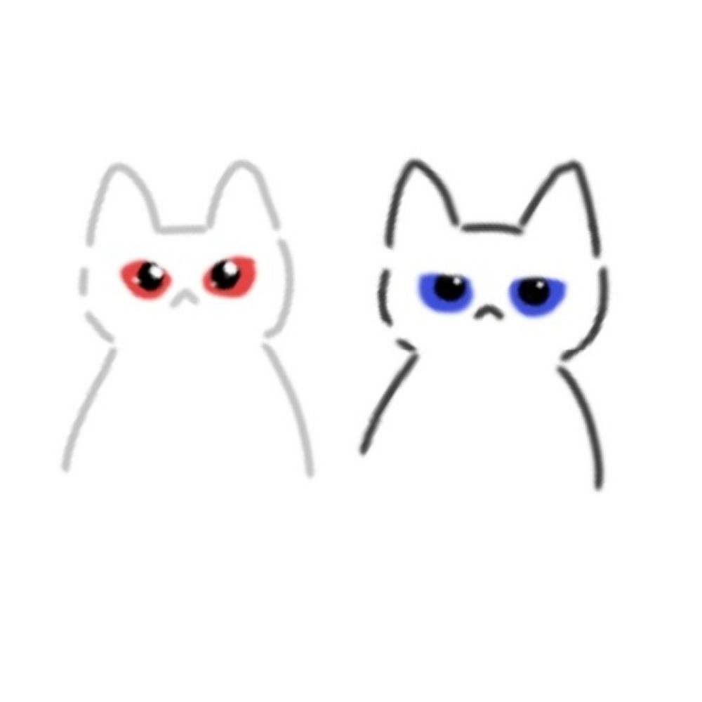 우주고양이