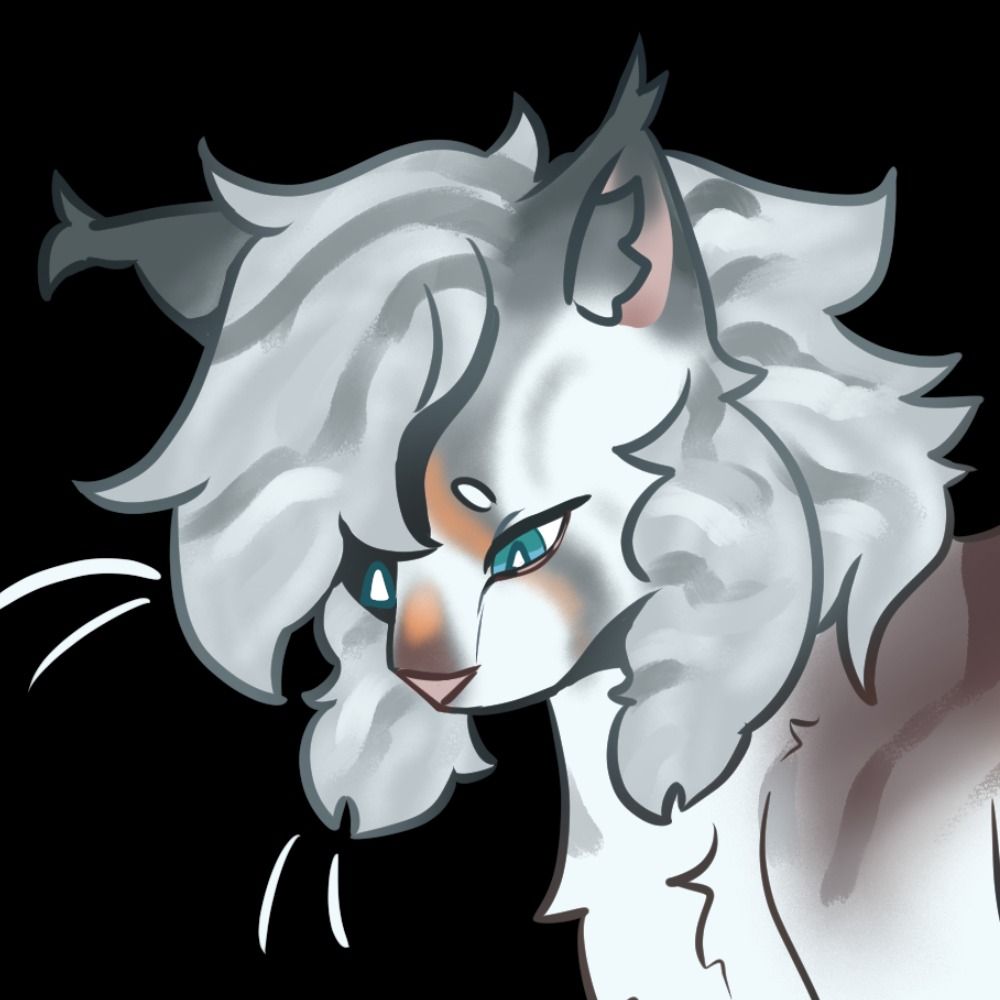 Morallygrayed