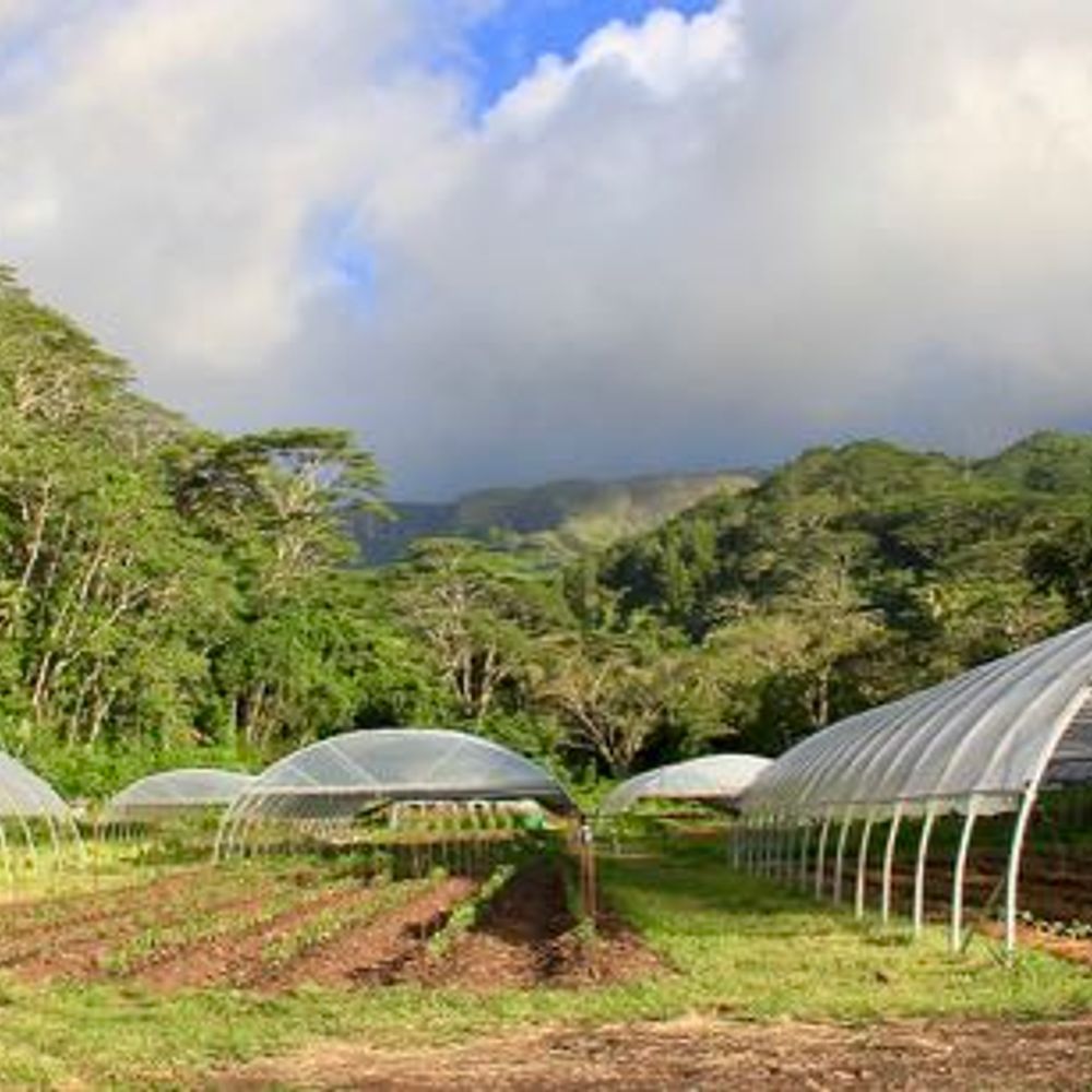 Ferme en agroécologie