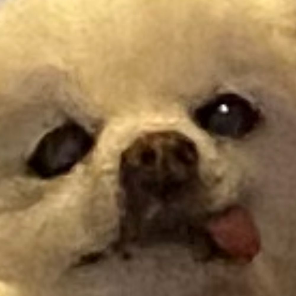 ふぅちゃん